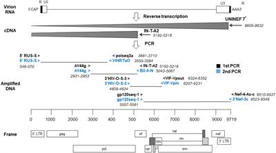 Characterization of New Recombinant Forms of HIV-1 From the Comunitat Valenciana (Spain) by Phylogenetic Incongruence